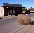 Click image for larger version

Name:	tumbleweed.jpg
Views:	510
Size:	32.4 KB
ID:	1269869